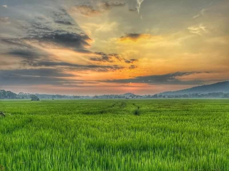 Lake Front Yala Safari Kataragama Dış mekan fotoğraf